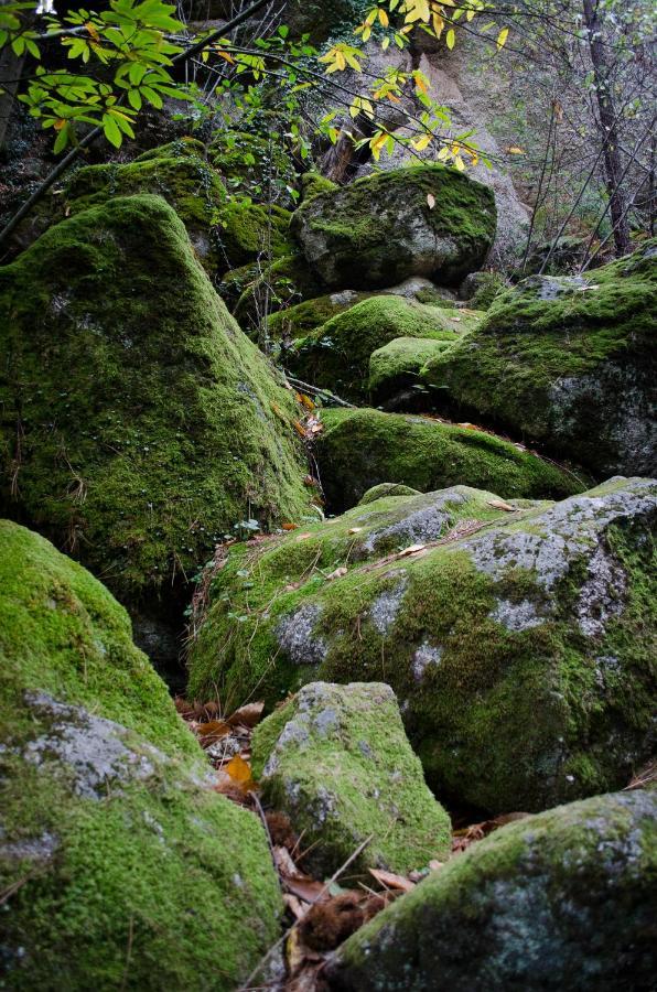 Casas Do Soito Villa Seia Dış mekan fotoğraf
