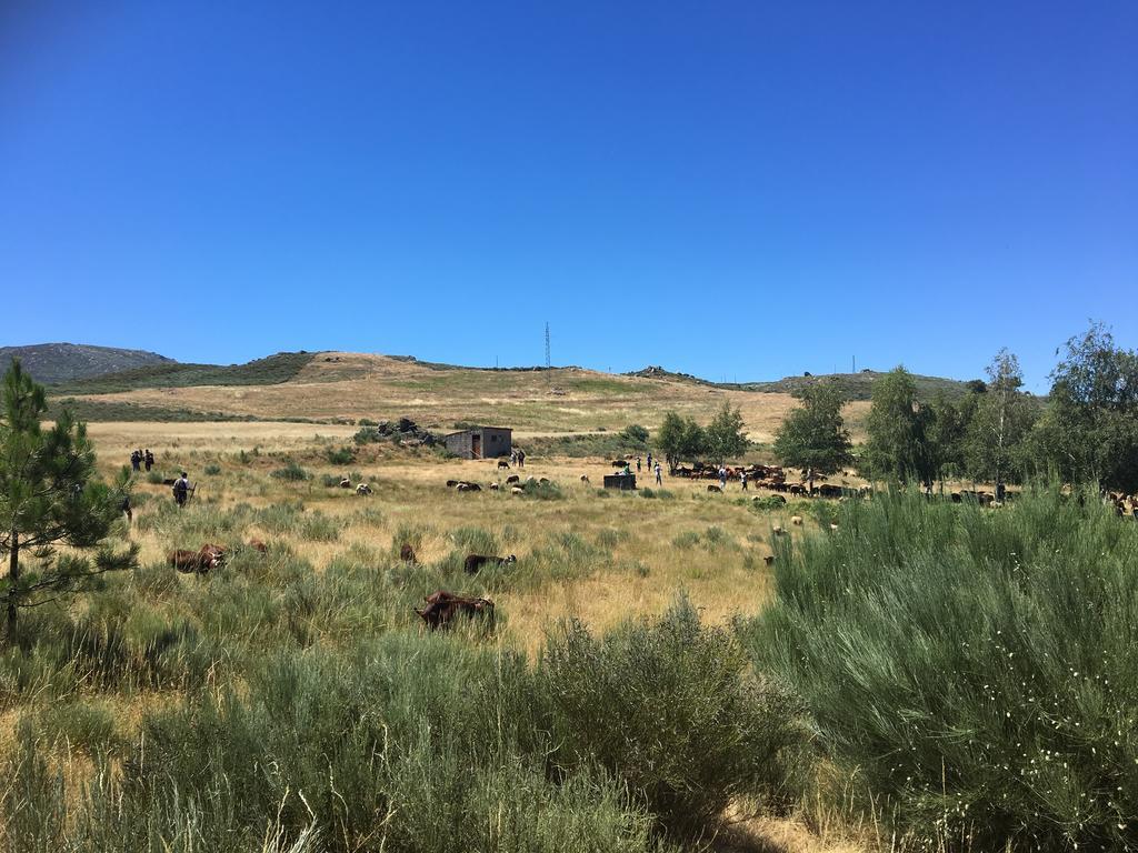 Casas Do Soito Villa Seia Dış mekan fotoğraf